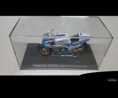 Modellino Yamaha Tz250l Christian Sarron 1984