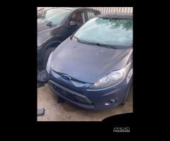 Musata completa ford fiesta