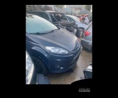 Musata completa ford fiesta