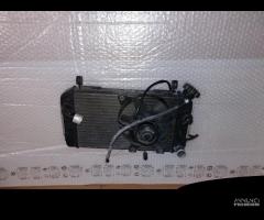 Radiatore acqua con ventola suzuki sv 650 2001