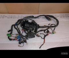 Impianto elettrico completo suzuki sv 650 2001