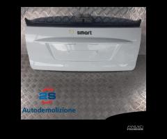 PORTELLONE POSTERIORE SMART FOR TWO 451 (07-10) - 1