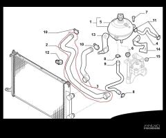 Tubo Radiatore Fiat Stilo 01>08 1.9 JTD 46838046