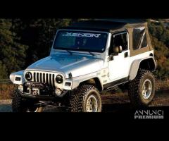 SET Parafanghi Flat XENON JEEP Wrangler TJ