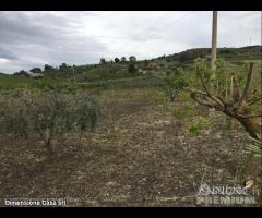 Rif.TA22|Terreno agricolo San Cataldo