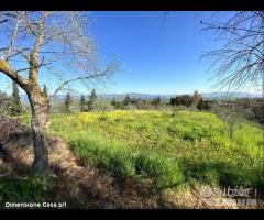 Rif.TA40|Terreno agricolo Caltanissetta - 7