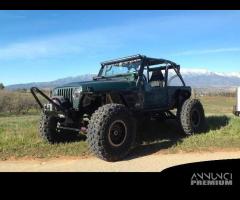 Poison Spyder Roll Cage (gabbia) JEEP Wrangler TJ - 1