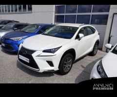 Lexus NX I 2018 300h 2.5 Premium 4wd cvt