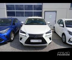 Lexus NX I 2018 300h 2.5 Premium 4wd cvt