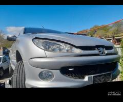 ricambi Peugeot 206 CC 1.4hdi