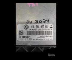 Centralina motore Ecu Bosch 0281015236 03L906022HM