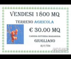 Terreno agricola 1800 mq a Giugliano in Campania