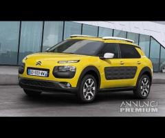 Ricambi Usati CitroÃ«n C4 Cactus / Picasso