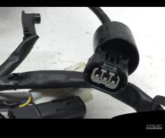 CAVI CABLAGGIO IMPIANTO ELETTRICO YAMAHA MT-09 890 - 6