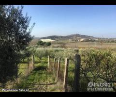 Rif.TA39|Terreno agricolo Caltanissetta