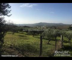 Rif.TA39|Terreno agricolo Caltanissetta - 6