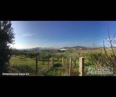 Rif.TA39|Terreno agricolo Caltanissetta - 7