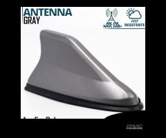 Antenna PINNA SQUALO Grigia con Gomma VERA Ricezio