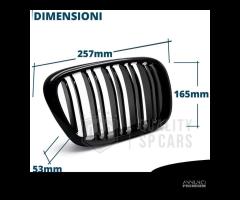 GRIGLIE Doppio Rene per BMW Serie 5 E39 Nero Lucid - 11