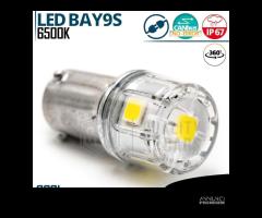 Lampadina LED BAY9S H21W Luce Bianca CANbus 6500K