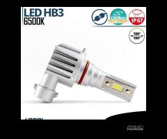 Lampada Full LED HB3 Luce Potente Bianca Canbus