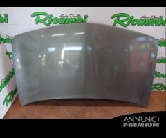 COFANO PER RENAULT MEGANE ANNO 2003