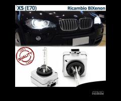 Lampade Ricambio BI XENON D1S per BMW X5 E70 6000K