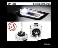 Lampadine RICAMBIO BIXENON per Audi A4 B8 2011-15