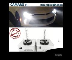 Lampadine BIXENON D5S per Chevrolet CAMARO 6 6000K