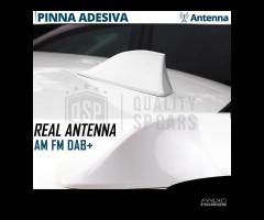 Antenna PINNA BIANCA per RENAULT VERO SEGNALE