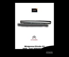 MINIGONNA LATO SINISTRA CITROEN C2 2Â° Serie (05>0 - 1