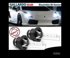 Lampadine BIXENON PER LAMBORGHINI GALLARDO 03-09