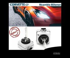 2 Lampadine BIXENON D3S PER Chevrolet Corvette C7