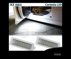 2 Luci di CORTESIA LED PER Bmw X3 E83 LUCE BIANCA