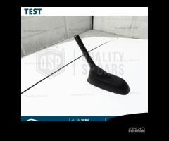 Antenna Corta 8cm Fibra Carbonio PER Citroen C3 C4 - 10