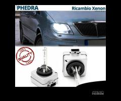 Lampadine di Ricambio Xenon D1S per LANCIA PHEDRA