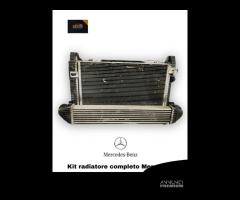 KIT RADIATORI MERCEDES Classe A W169 3Â° Serie A16