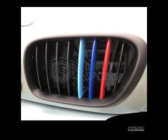 Fasce COVER calandra per Bmw X5 E53 PRE RESTYLING - 6