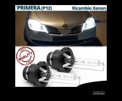 2 Lampadine XENON D2S 6000K Nissan Primera P12 P11