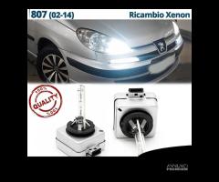 Lampadine RICAMBIO XENON D1S per PEUGEOT 807 6000K