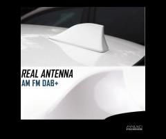 Antenna PINNA SQUALO BIANCA Alfa Romeo VERA RICEZI