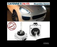 2 Lampadine BIXENON Cayenne 2 Restyling 35W 6000K