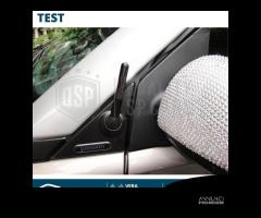 Antenna Corta SMART Fortwo forfou FIBRA CARBONIO