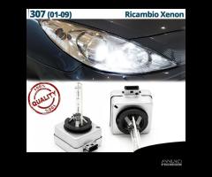 Lampadine XEDNON D1S per Peugeot 307 6000K 8000LM