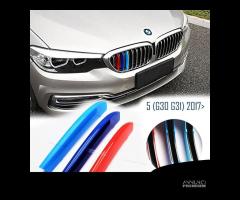 COVER Griglia Bmw SERIE 5 G30 G31 Fasce M SPORT