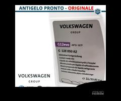 4 PZ Refrigerante Antigelo ORIGINALE Audi VW Seat