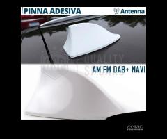 Antenna PINNA SQUALO BIANCA per AUDI Q3 Q5 Q7 VERA