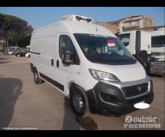 Ducato frigo anno 2019 atp frc 2025