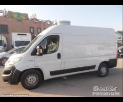 Ducato frigo anno 2019 atp frc 2025