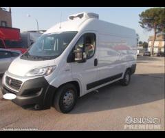 Ducato frigo anno 2019 atp frc 2025 - 10